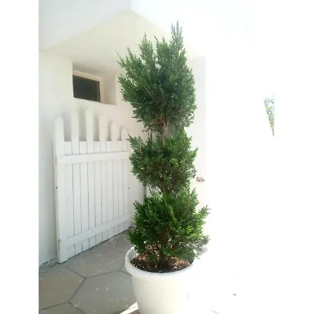 Apartment La Torre By My Apulia